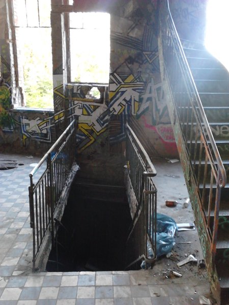 Scaled image IMG201.jpg 