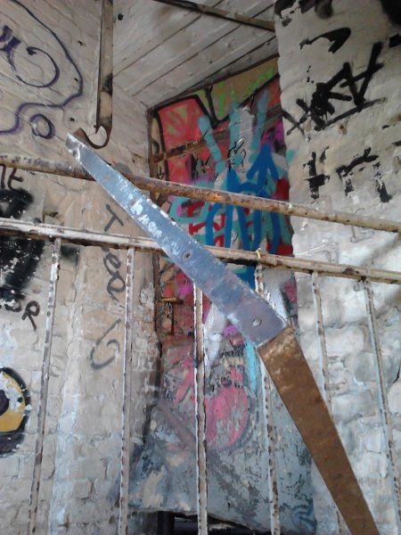 Scaled image IMG225.jpg 