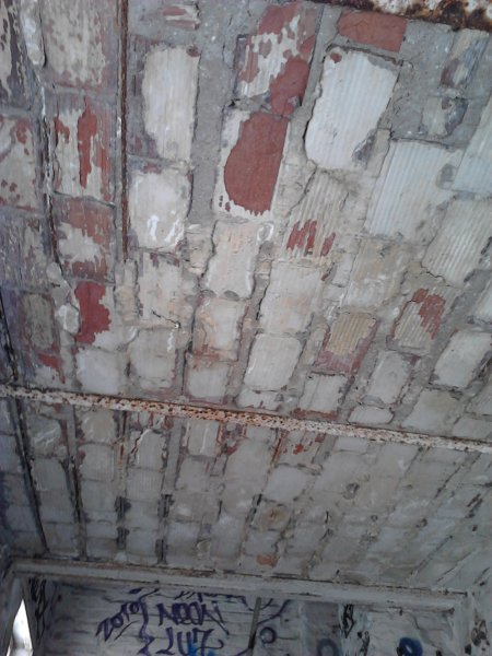 Scaled image IMG228.jpg 