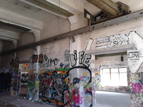 Scaled image IMG241.jpg 