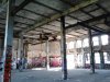 Thumbnail IMG202.jpg 