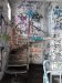 Thumbnail IMG227.jpg 