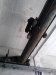 Thumbnail IMG238.jpg 