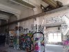 Thumbnail IMG241.jpg 
