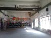 Thumbnail IMG245.jpg 
