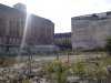 Thumbnail IMG250.jpg 