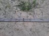 Thumbnail IMG264.jpg 