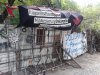 Thumbnail IMG275.jpg 