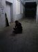 Thumbnail IMG342.jpg 
