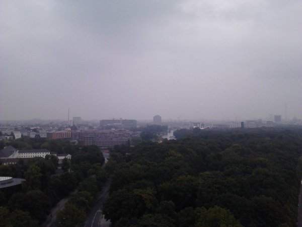 Scaled image IMG557.jpg 