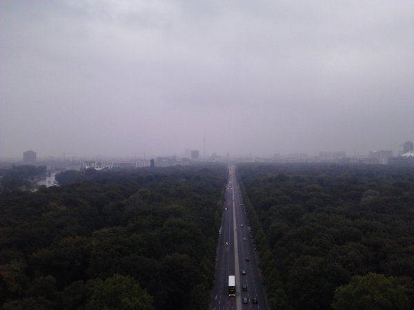 Scaled image IMG558.jpg 