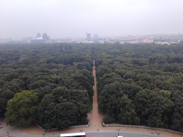 Scaled image IMG560.jpg 