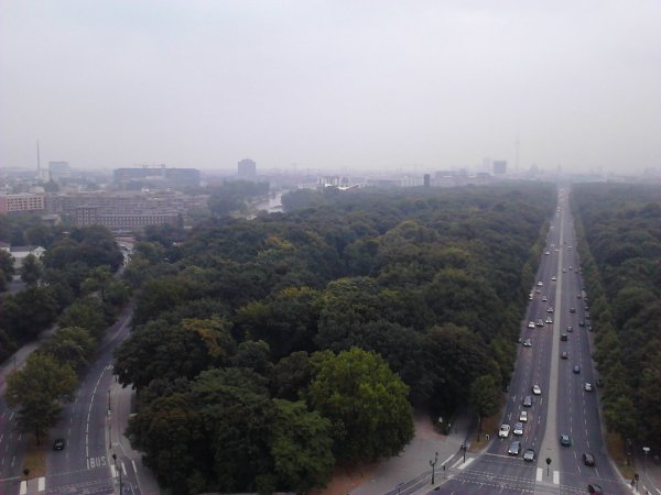 Scaled image IMG565.jpg 