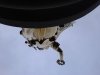 Thumbnail IMG561.jpg 