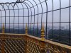 Thumbnail IMG563.jpg 