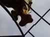 Thumbnail IMG566.jpg 