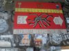 Thumbnail IMG418.jpg 