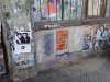 Thumbnail IMG438.jpg 