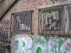 Thumbnail IMG446.jpg 