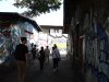 Thumbnail IMG458.jpg 