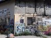 Thumbnail IMG465.jpg 