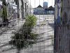 Thumbnail IMG474.jpg 
