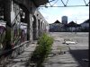 Thumbnail IMG475.jpg 
