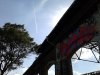 Thumbnail IMG477.jpg 