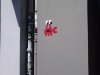 Thumbnail IMG497.jpg 