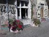 Thumbnail IMG498.jpg 