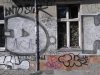 Thumbnail IMG499.jpg 