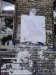 Thumbnail IMG503.jpg 