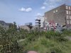 Thumbnail IMG513.jpg 