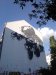 Thumbnail IMG522.jpg 