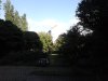 Thumbnail IMG523.jpg 