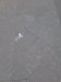 Thumbnail IMG531.jpg 