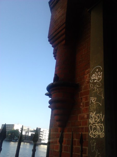 Scaled image IMG306.jpg 
