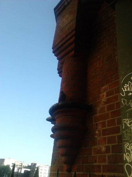 Scaled image IMG307.jpg 