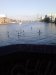 Thumbnail IMG309.jpg 