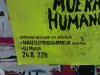 Thumbnail IMG534.jpg 