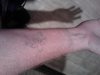 Thumbnail IMG602.jpg 
