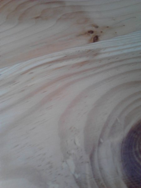 Scaled image IMG332.jpg 