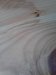 Thumbnail IMG332.jpg 
