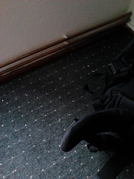 Scaled image IMG393.jpg 