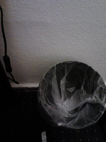 Scaled image IMG394.jpg 