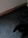 Thumbnail IMG393.jpg 