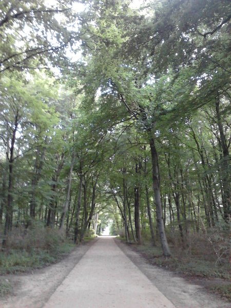 Scaled image IMG113.jpg 