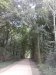 Thumbnail IMG112.jpg 