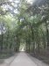 Thumbnail IMG113.jpg 