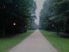 Thumbnail IMG575.jpg 
